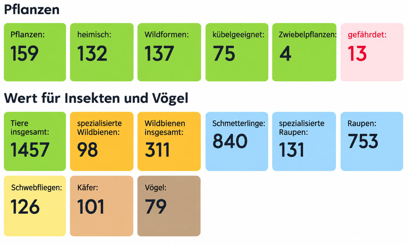 Übersicht zur Biodiversität in den Erlenhöfen Jena mit Angaben zu 159 Pflanzenarten sowie ihrem Wert für Wildbienen, Schmetterlinge, Raupen, Käfer, Schwebfliegen und Vögel.
